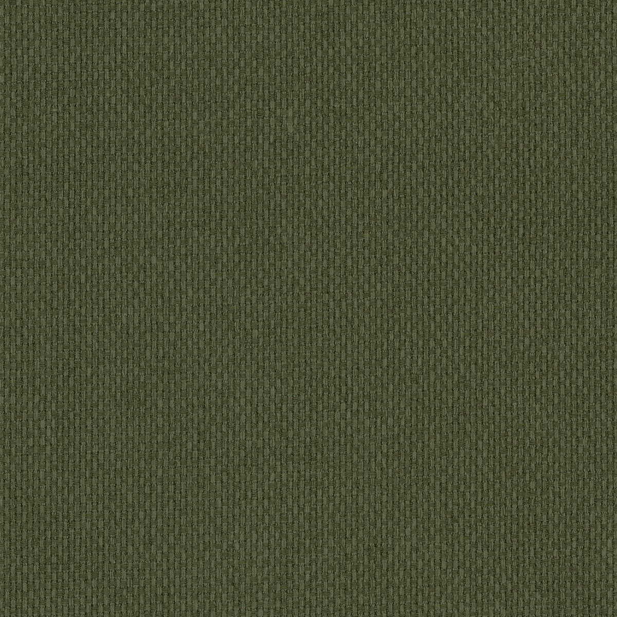 Opium 38 Olijfgroen